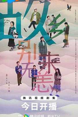 柳州实用的网站建设优化